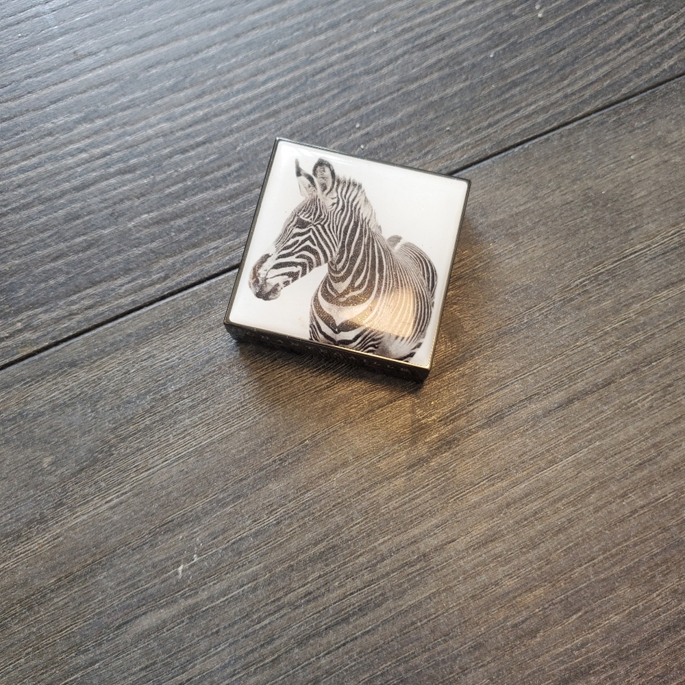 Chantecaille Luminescent Eye Shade In Zebra